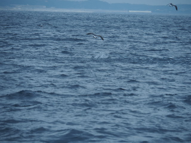 a0248152_1842168.jpg