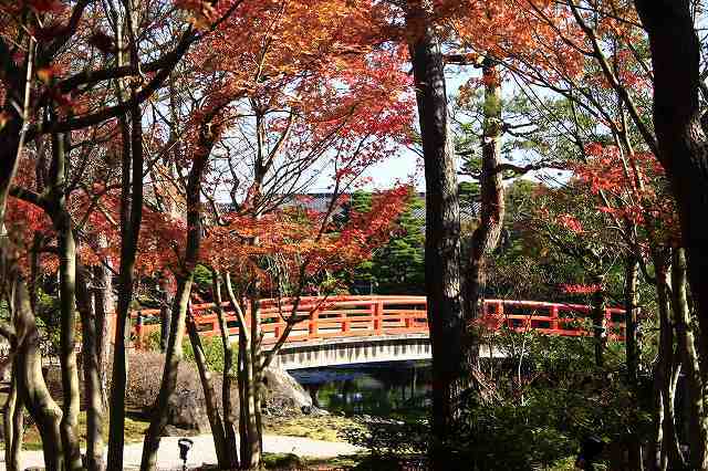 １２月７日　由志園の紅葉_f0340155_15295659.jpg