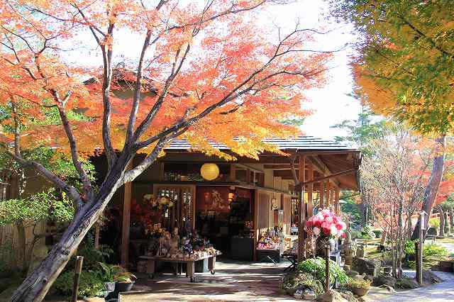 １２月７日　由志園の紅葉_f0340155_15382891.jpg