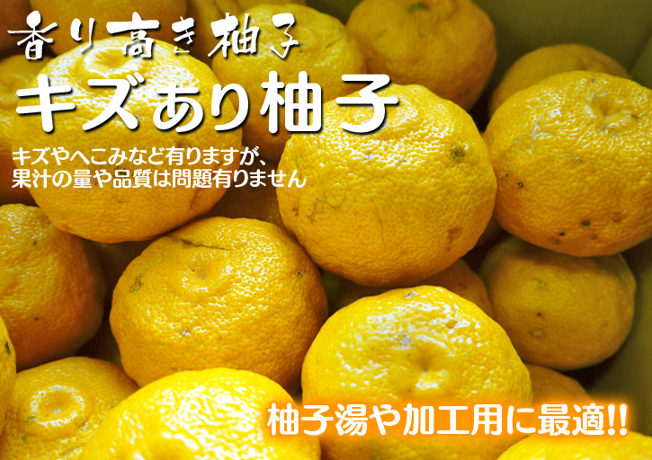 冬至用の「柚子」まもなく締め切り！残りわずか！お急ぎください!!_a0254656_181972.jpg