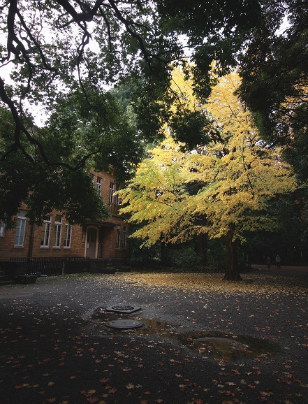 e0158857_22211047.jpg