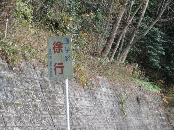 c0001670_19185200.jpg