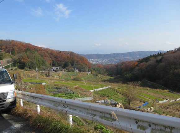 c0001670_19220951.jpg