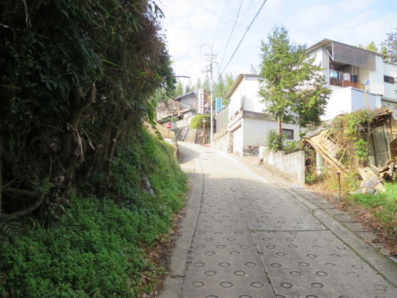 c0001670_19344801.jpg