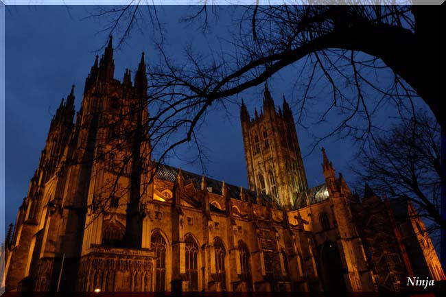 Canterbury 1 (2015.11.24)_f0294370_22161514.jpg