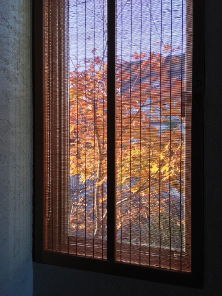 晩秋の朝_c0310571_19585900.jpg