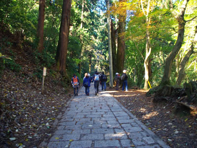 八王子見て歩記/晩秋の高尾山デイハイク-2_b0123486_8582259.jpg