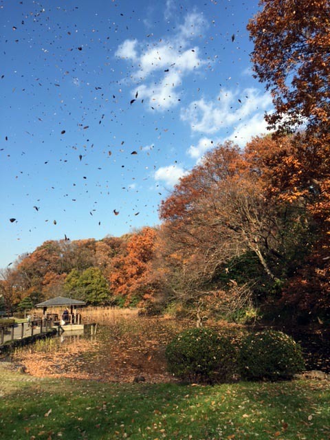 久良岐公園のスケッチ_f0253789_18203197.jpg