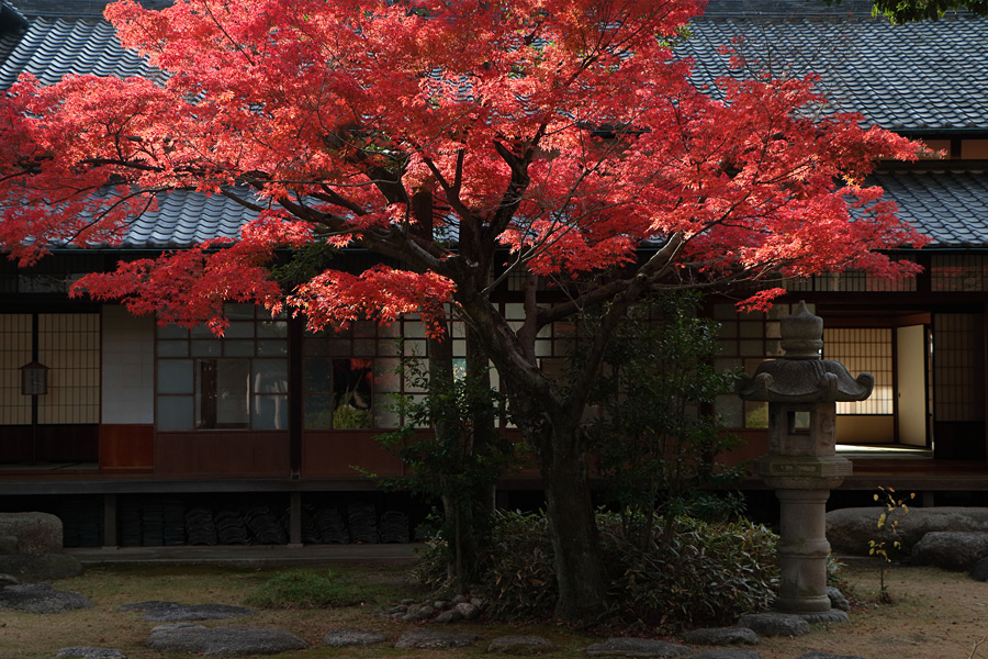 15.12.05：今年最後の紅葉は桑名の六華苑で２_c0007190_19263554.jpg