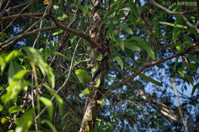 e0218504_13441737.jpg