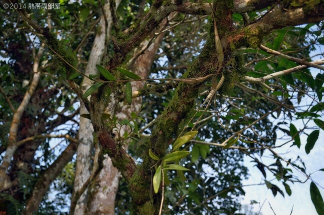 e0218504_13442393.jpg