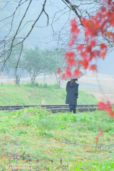 紅葉雨＠爆笑小湊鉄道いすみの旅_b0253706_19253024.jpg