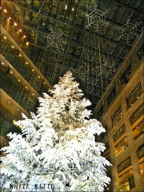 b0086909_21421676.jpg