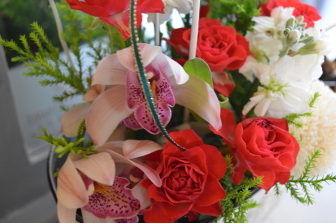 e0201009_22231136.jpg