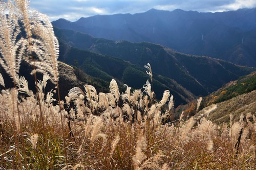 2015/11/16　蕨山～ウノタワ_a0340812_1551934.jpg