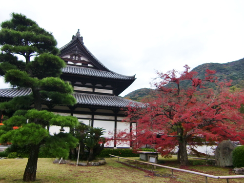 福聚寺（福岡県北九州市）_c0219820_2329186.jpg