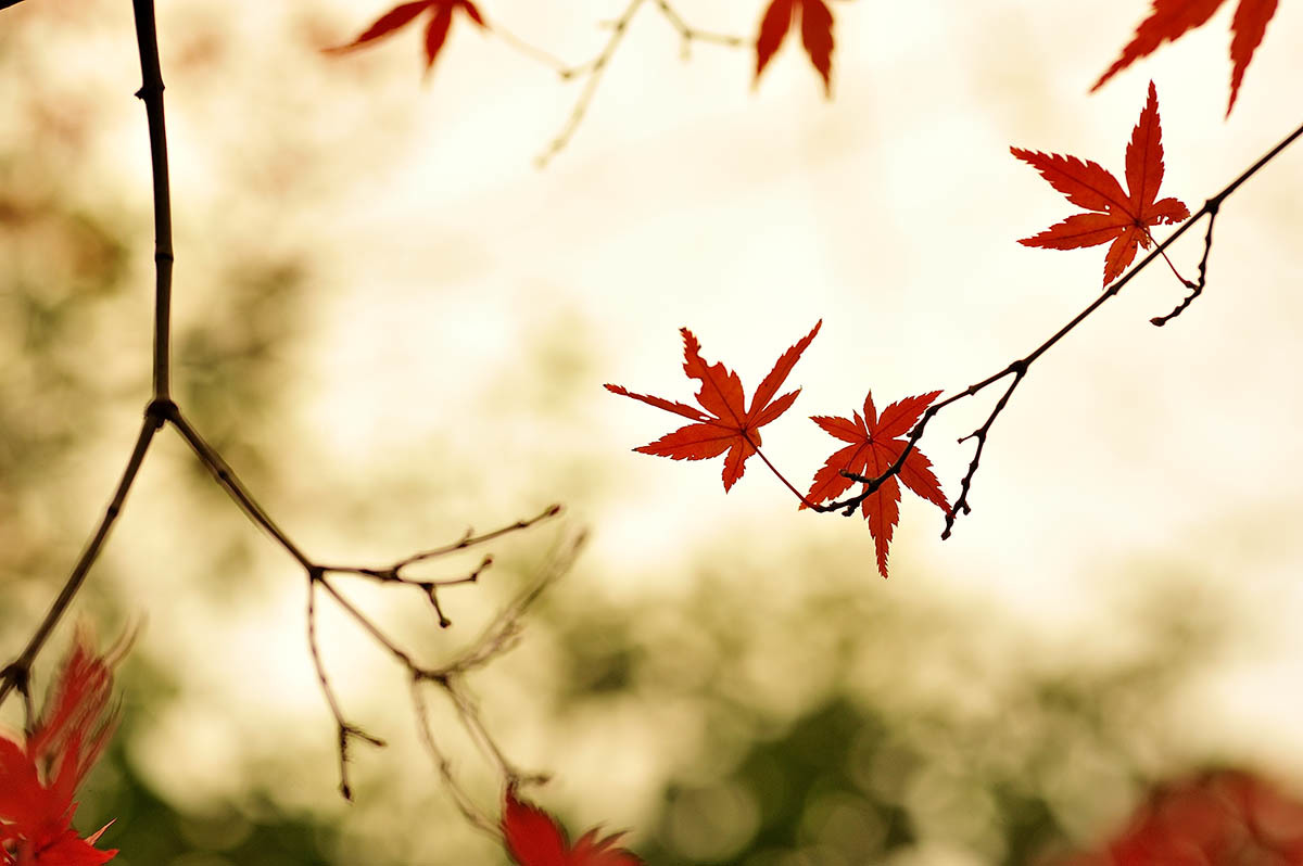 a0059621_21521658.jpg