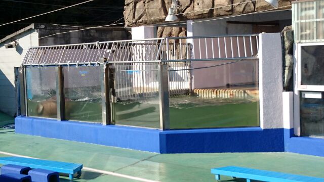 水族館 アクリル くすみ キズ 鱗状痕 磨き 大阪 貝塚の巻_a0197623_18502272.jpg