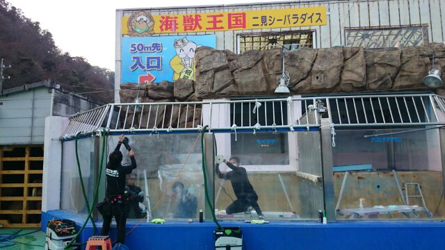 水族館 アクリル くすみ キズ 鱗状痕 磨き 大阪 貝塚の巻_a0197623_185742.jpg