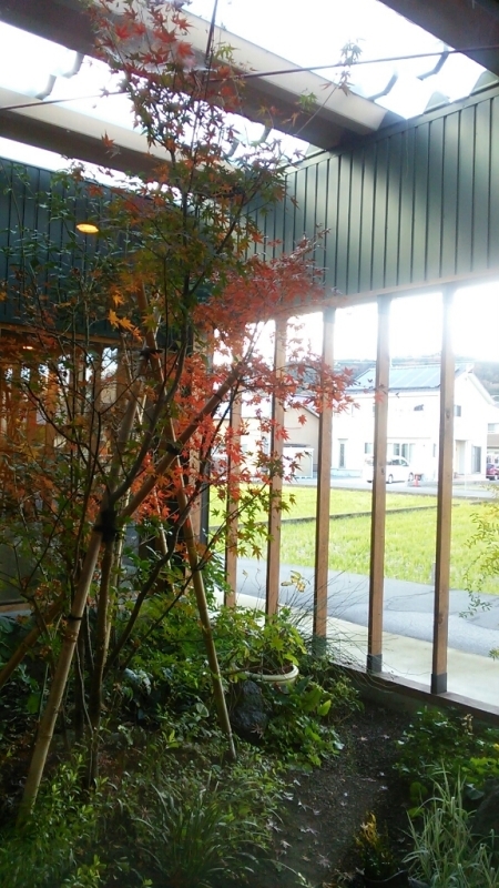 e0280023_20380673.jpg