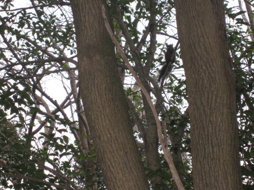 e0350927_09245711.jpg