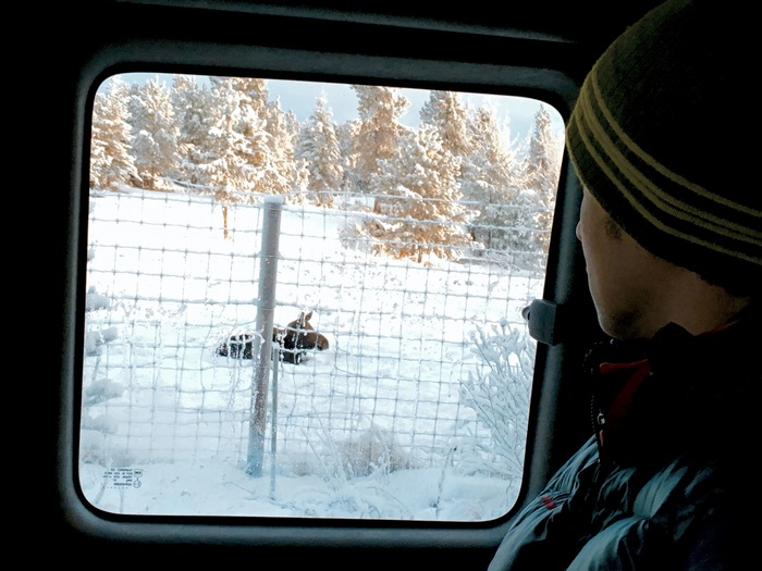 2015-2016 冬のYUKON スタッフトレーニング_d0112928_4273987.jpg