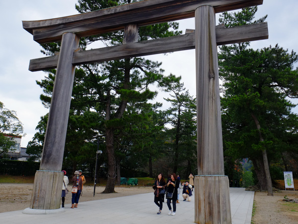 「島根・出雲 薬草×美活プロジェクト 島根県立古代出雲歴史博物館と出雲大社八足門、稲佐の浜」_a0000029_16311811.jpg