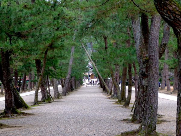 「島根・出雲 薬草×美活プロジェクト 島根県立古代出雲歴史博物館と出雲大社八足門、稲佐の浜」_a0000029_1632141.jpg