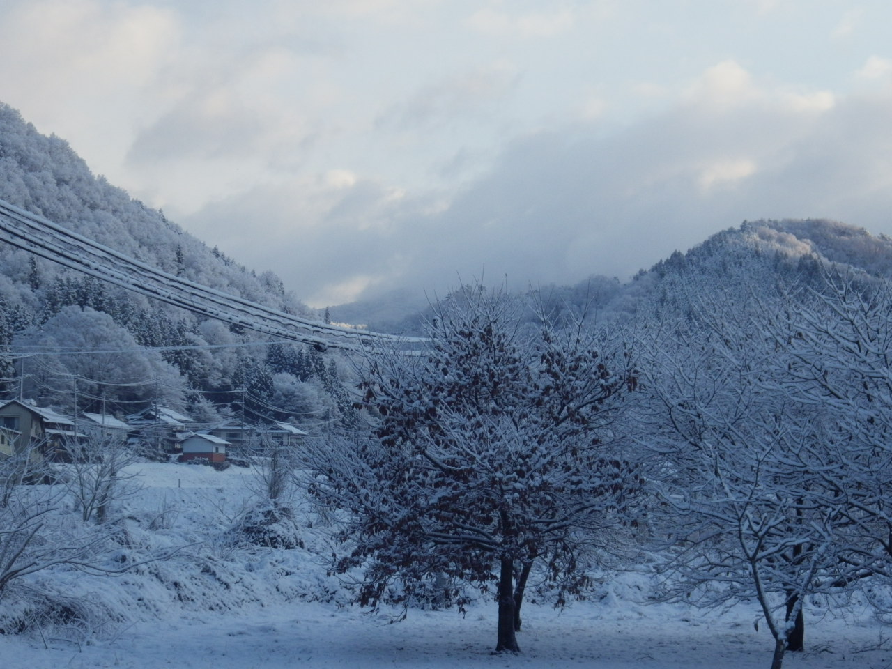 雪の華が咲きました。_c0300035_1323416.jpg