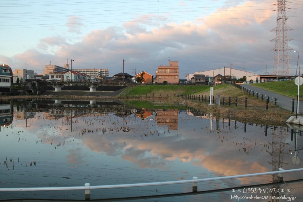 遊水池の夜明け！！！_e0052135_167195.jpg