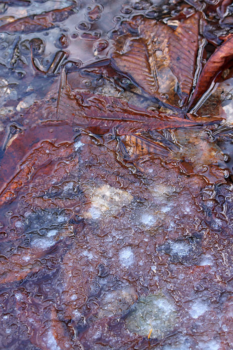 c0067040_22552186.jpg