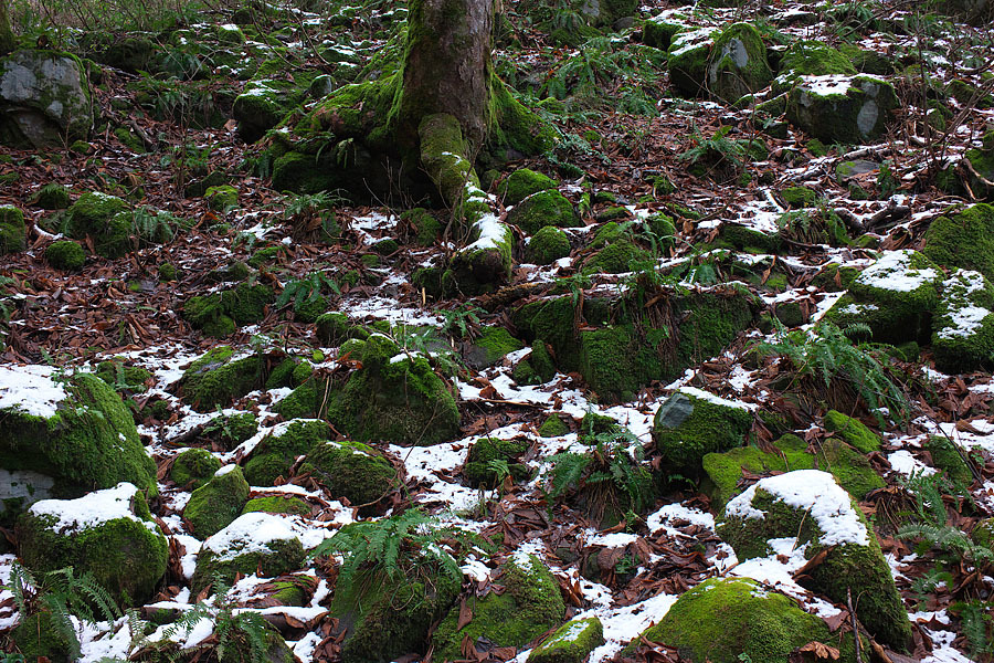 c0067040_22555713.jpg