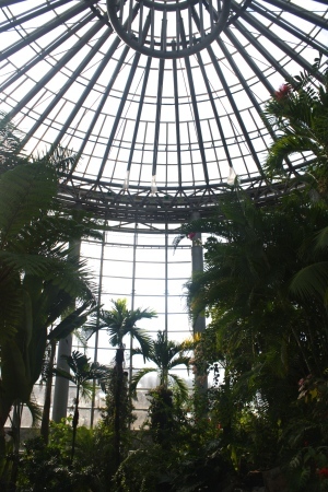 b0320746_07032777.jpg