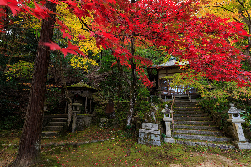京都の紅葉2015・静寂の寺(護法堂弁財天)_f0155048_11543955.jpg
