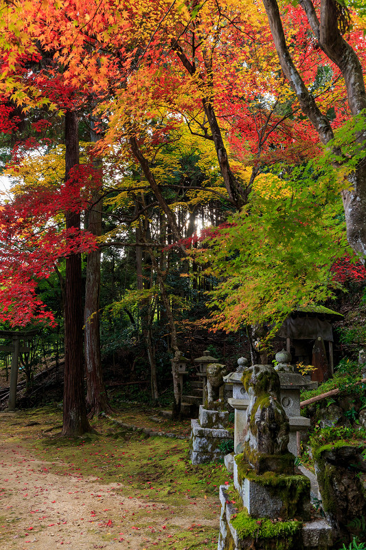 京都の紅葉2015・静寂の寺(護法堂弁財天)_f0155048_1154454.jpg