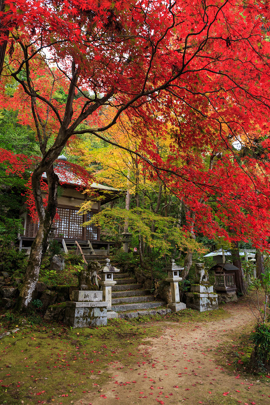 京都の紅葉2015・静寂の寺(護法堂弁財天)_f0155048_1154797.jpg