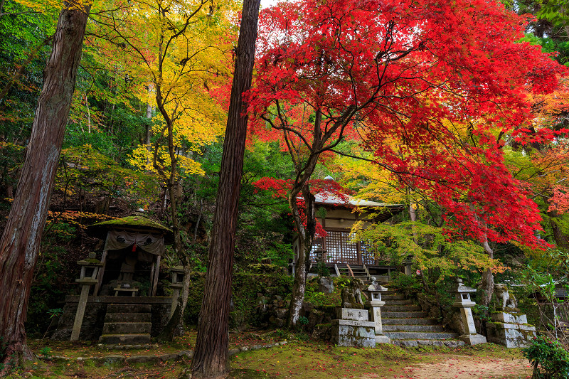 京都の紅葉2015・静寂の寺(護法堂弁財天)_f0155048_11553873.jpg
