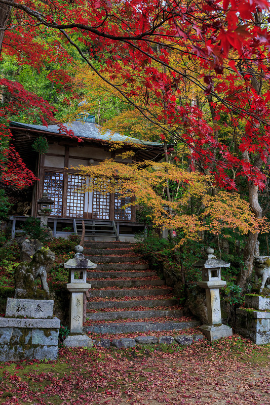 京都の紅葉2015・静寂の寺(護法堂弁財天)_f0155048_11592497.jpg