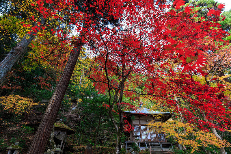京都の紅葉2015・静寂の寺(護法堂弁財天)_f0155048_11594250.jpg