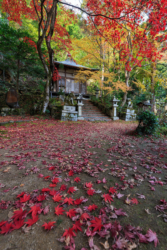 京都の紅葉2015・静寂の寺(護法堂弁財天)_f0155048_120313.jpg