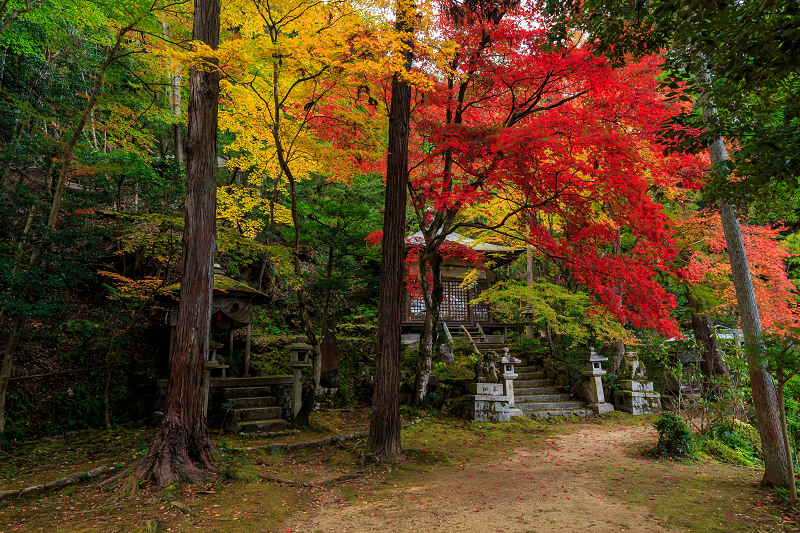 京都の紅葉2015・静寂の寺(護法堂弁財天)_f0155048_1264565.jpg