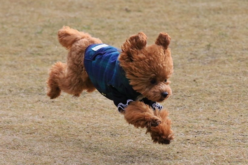 c0145250_10315672.jpg