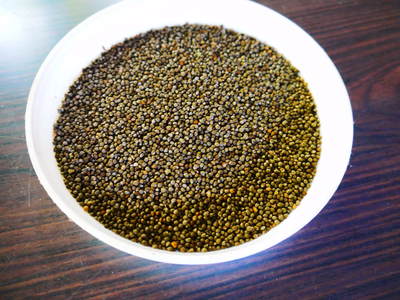 無農薬・無化学肥料で育てる「菊池水源産エゴマ」 白エゴマ(焙煎粒)の販売に向けて_a0254656_18282518.jpg