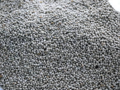 無農薬・無化学肥料で育てる「菊池水源産エゴマ」 白エゴマ(焙煎粒)の販売に向けて_a0254656_18342113.jpg
