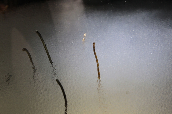 f0268259_0524455.jpg