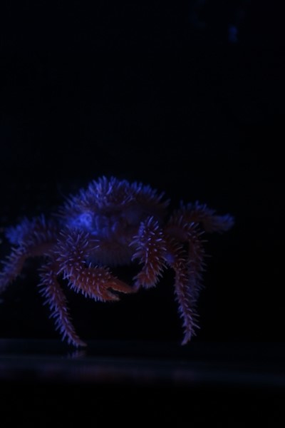 f0268259_07641.jpg