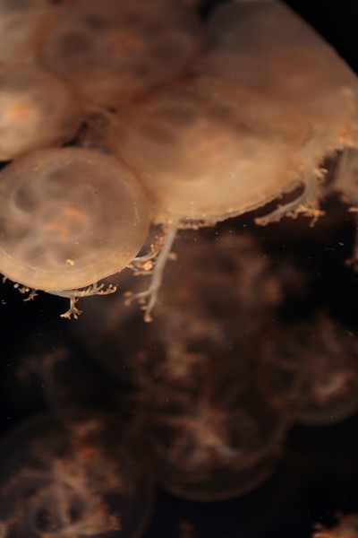 f0268259_08231.jpg