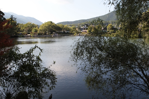 f0268259_21505048.jpg