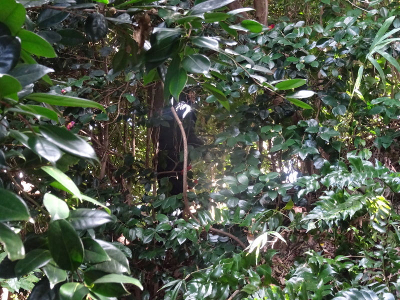 c0108460_20350165.jpg
