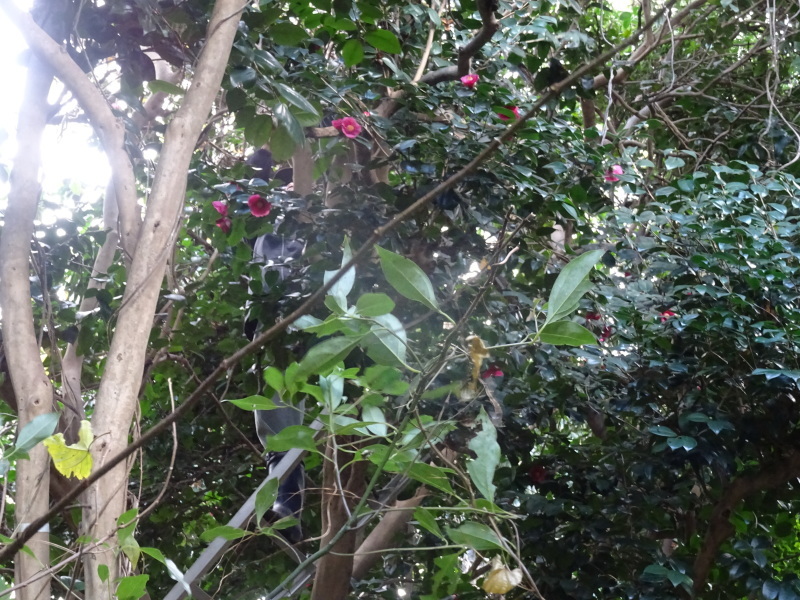 c0108460_20350462.jpg